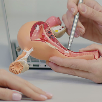 A doctor using a model of a vagina. 